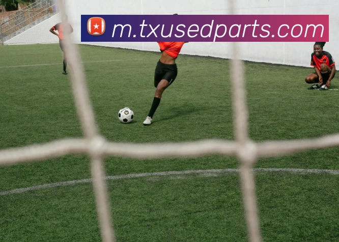 多媒体互动体验